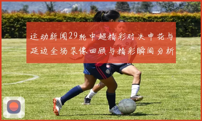 运动新闻29轮中超精彩对决申花与延边全场录像回顾与精彩瞬间分析