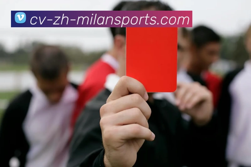 米兰体育入口品牌故事